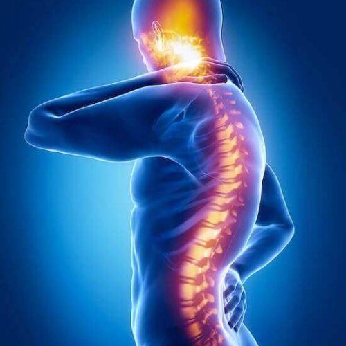 spinal-cord-injuries